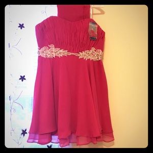 NWT Narianna Large Pink Dress with Shawl 👗